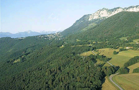 Isère. Il va récupérer des chutes de bois en forêt pour réchauffer